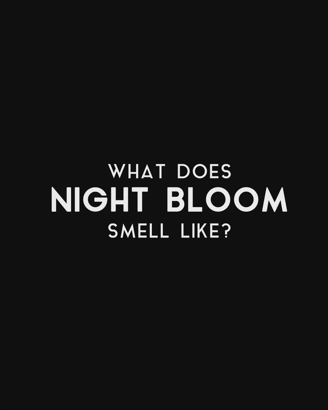 Night Bloom